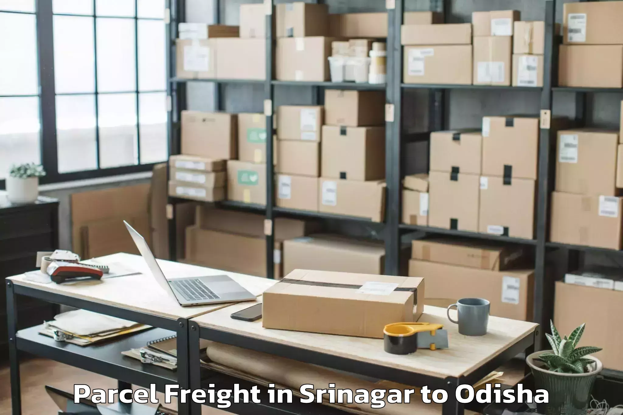 Book Your Srinagar to Bissam Cuttack Parcel Freight Today